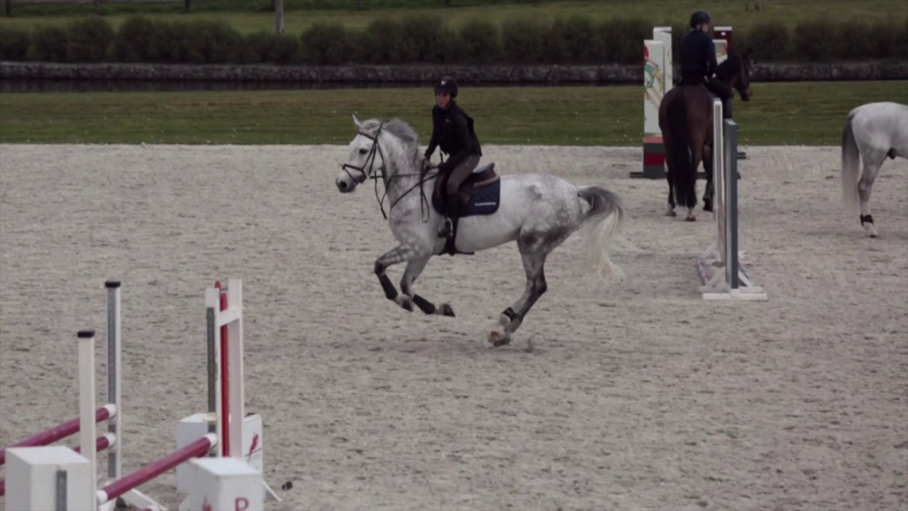Stage Ecaussinnes Academy - Philippe Rozier - Horse: Lay your Love