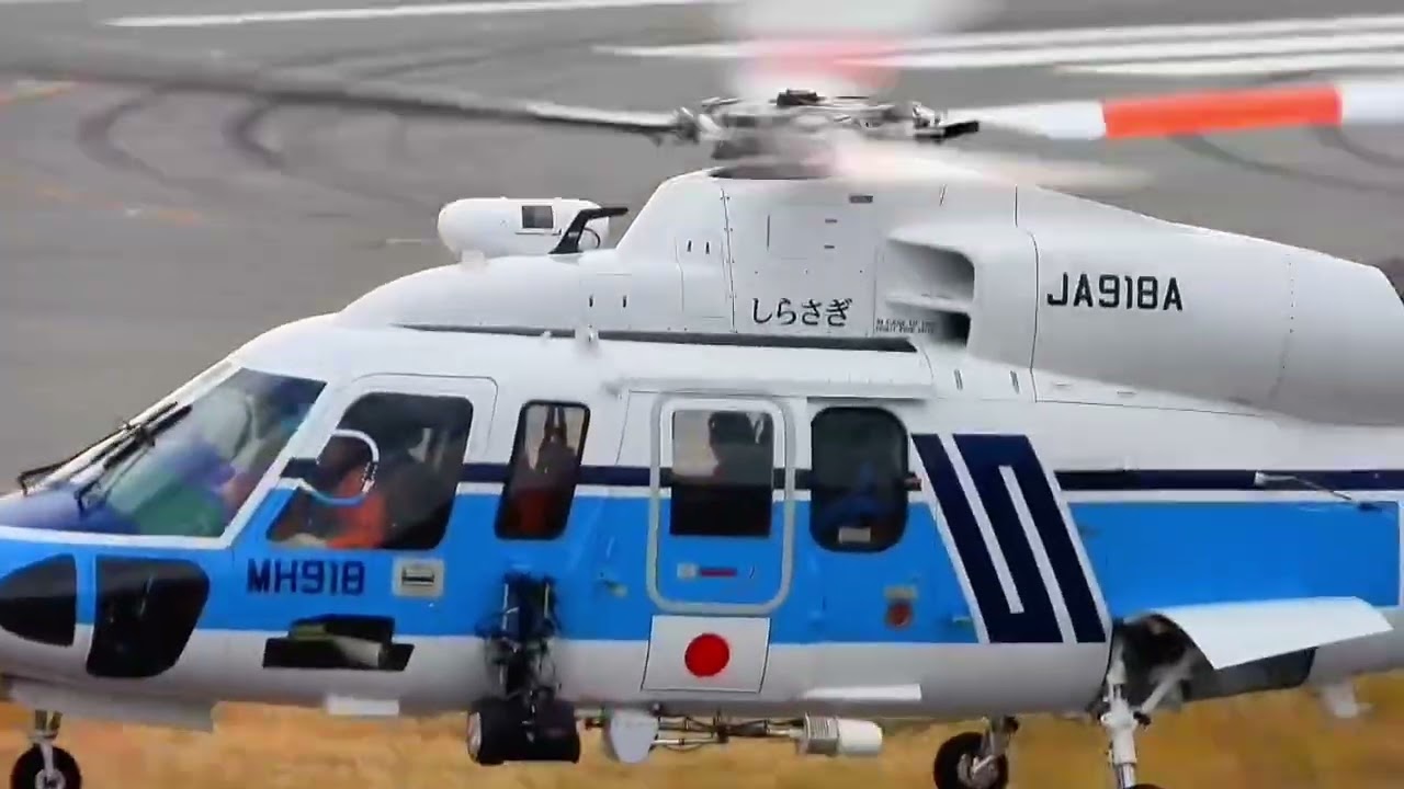 個人的には初の勢揃い！