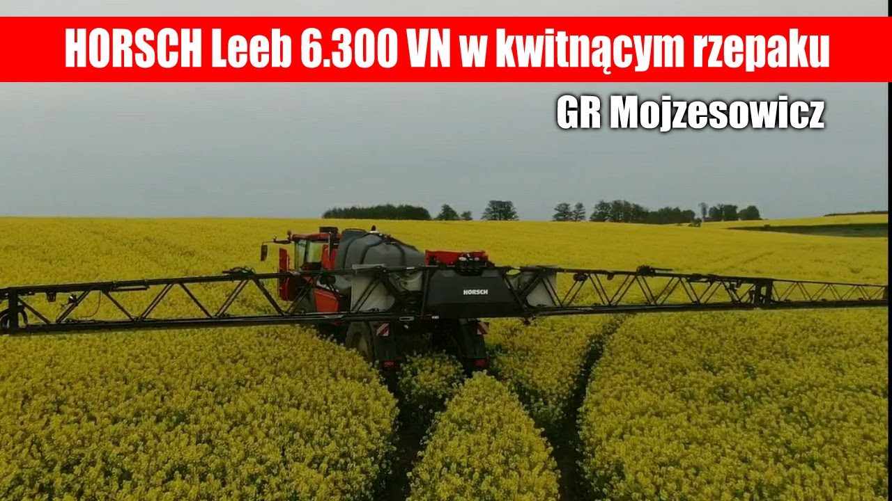 HORSCH Leeb 6.300 VN w kwitnącym rzepaku - GR Mojzesowicz