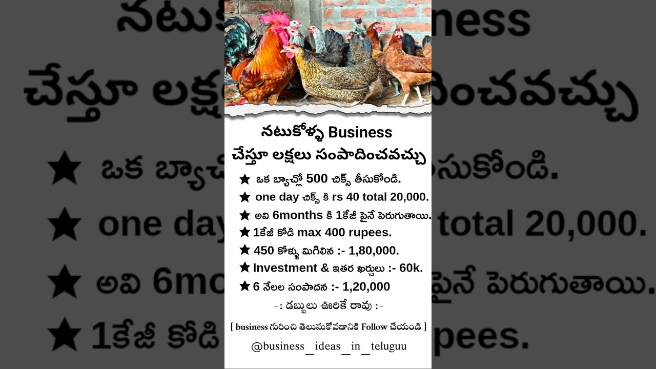 Natukolla business|| Business Ideas Telugu || Business Strategy || Business Startup Idea #business
