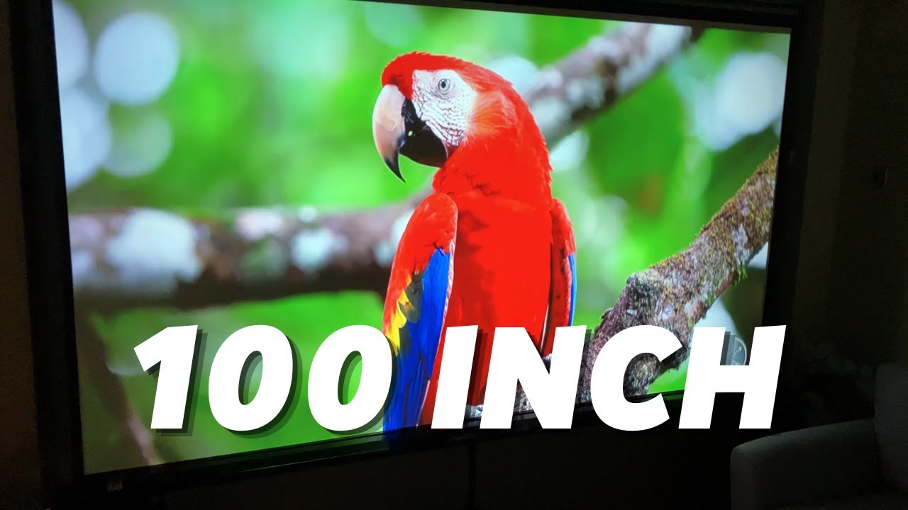 My 100 Inch Movie & Gaming Setup - PropVue Projector Screen Review
