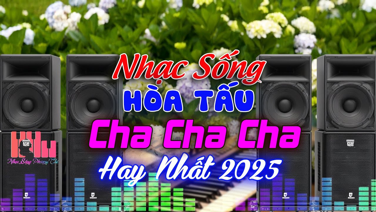LK ChaChaCha Nhạc Sống Hoà Tấu Guitar Điện Cực Hay Mới Nhất 2025 -  Trống Fill Giai Điệu Hay Nhất