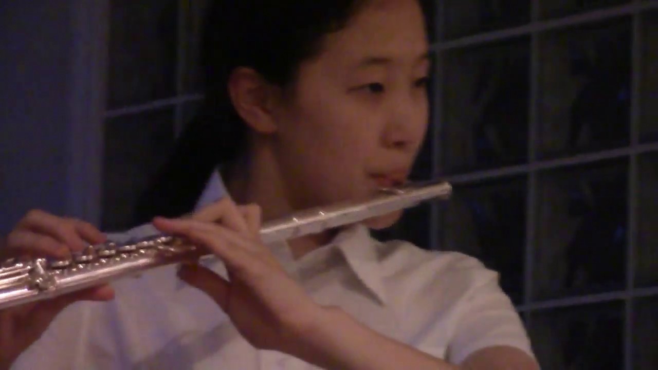 The Moon Represents My Heart  flute and piano 月亮代表我的心 월량대표아적심