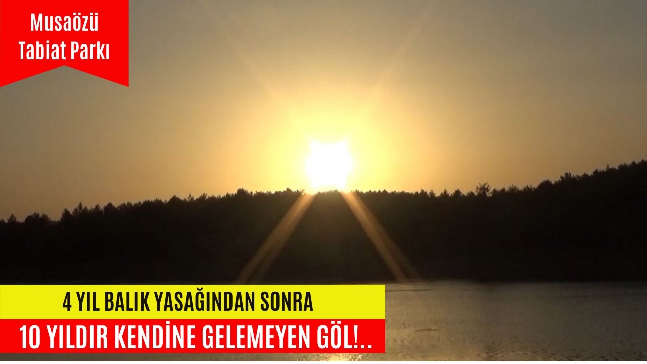 Tabiat Parkı Musaözü'nde 1 gece Kamp yaptım.#SazanAvı#BalıkAvı#Kamp#Fsihing