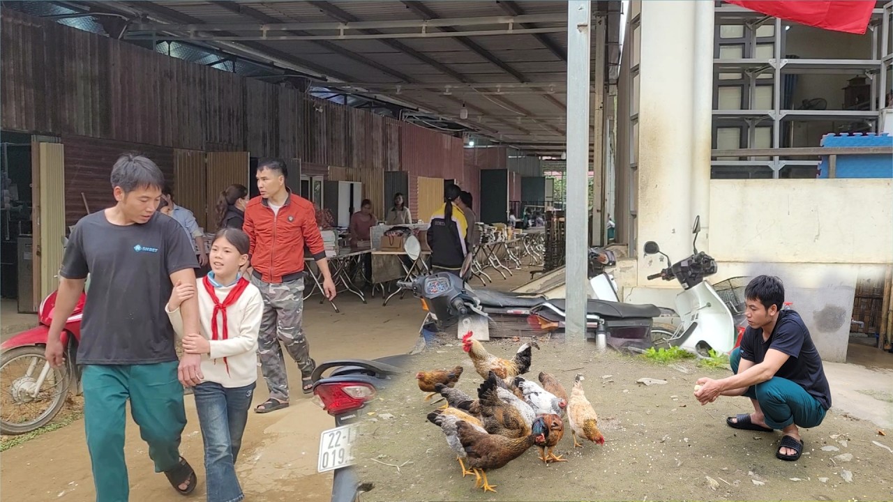 Thu's school was demolished due to severe damage, and her uncle helped move the desks and chairs.