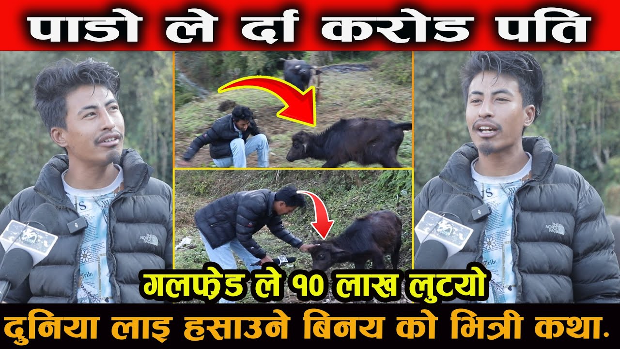 एउटा पाडो ले भए रामेछाप का बिनय करोड पति प्रेमी ले लुटिन लाखै कमेडीयन  बिनय को कथा binay laama
