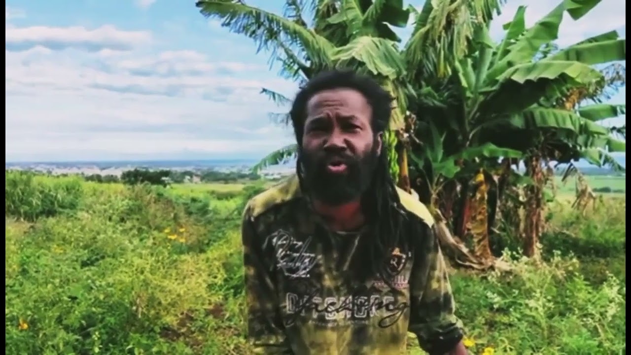 Racine Des  &Icirc;les G&eacute;rard Ranggeh exclusivit&eacute;