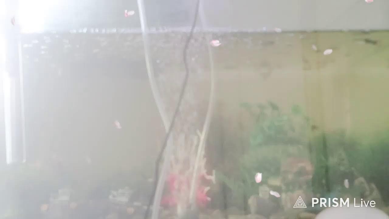 💕💕💕시간달리기. 2200시간💕💕💕💕
