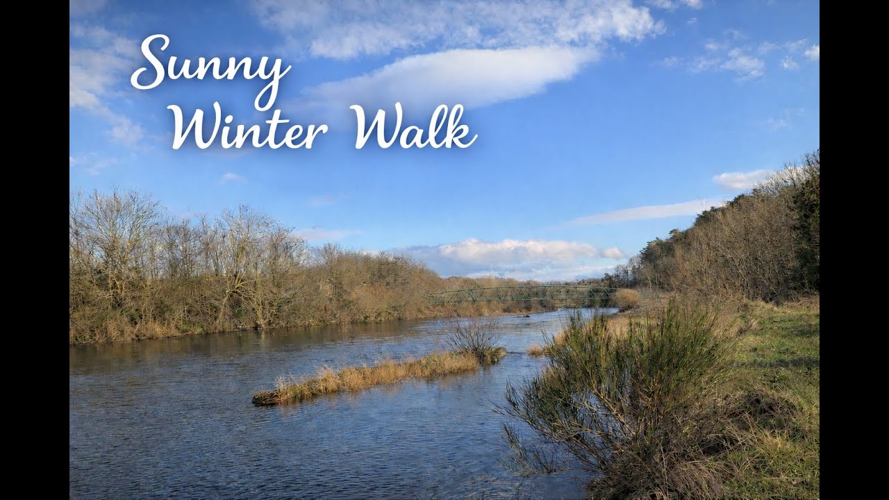 A Sunny Walk Through Winter - Ambient Sounds