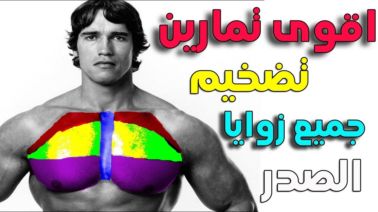 تمارين  تضخيم  جميع زوايا الصدر  Exercises inflate all corners of the chest