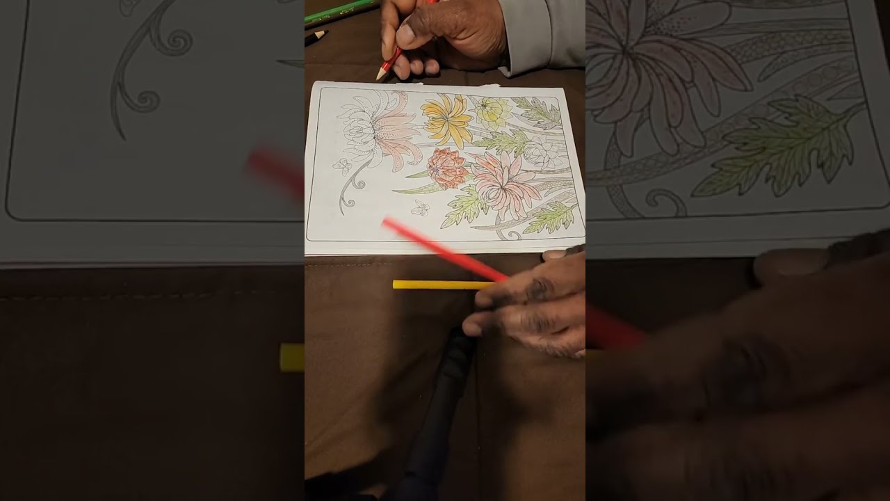 QUIET LIVE : COLOR THERAPY ASMR 2