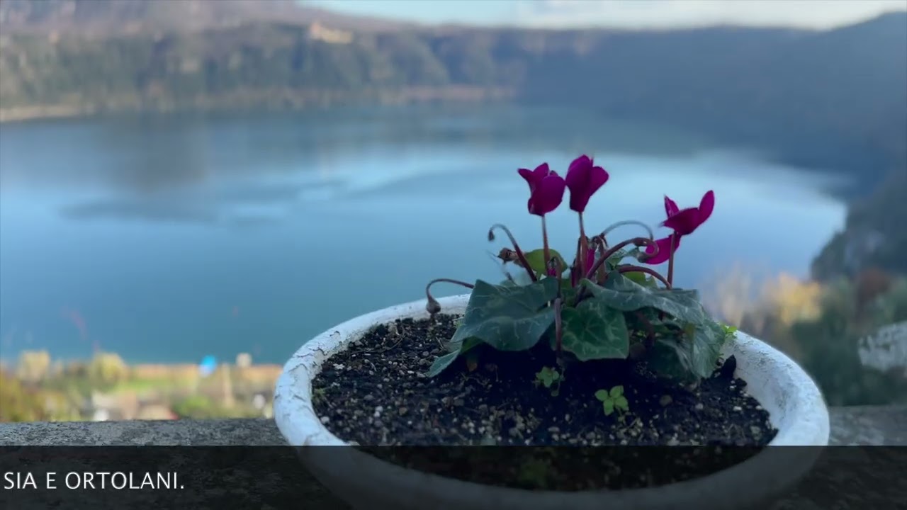 Quella gemma lacustre di Castel Gandolfo 💙