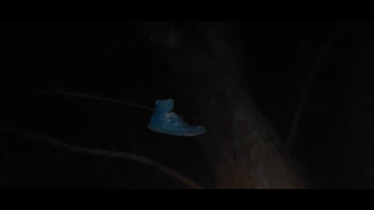 Alphs Bravo 01 Catseye Gnarly swag ner NEFW 22126