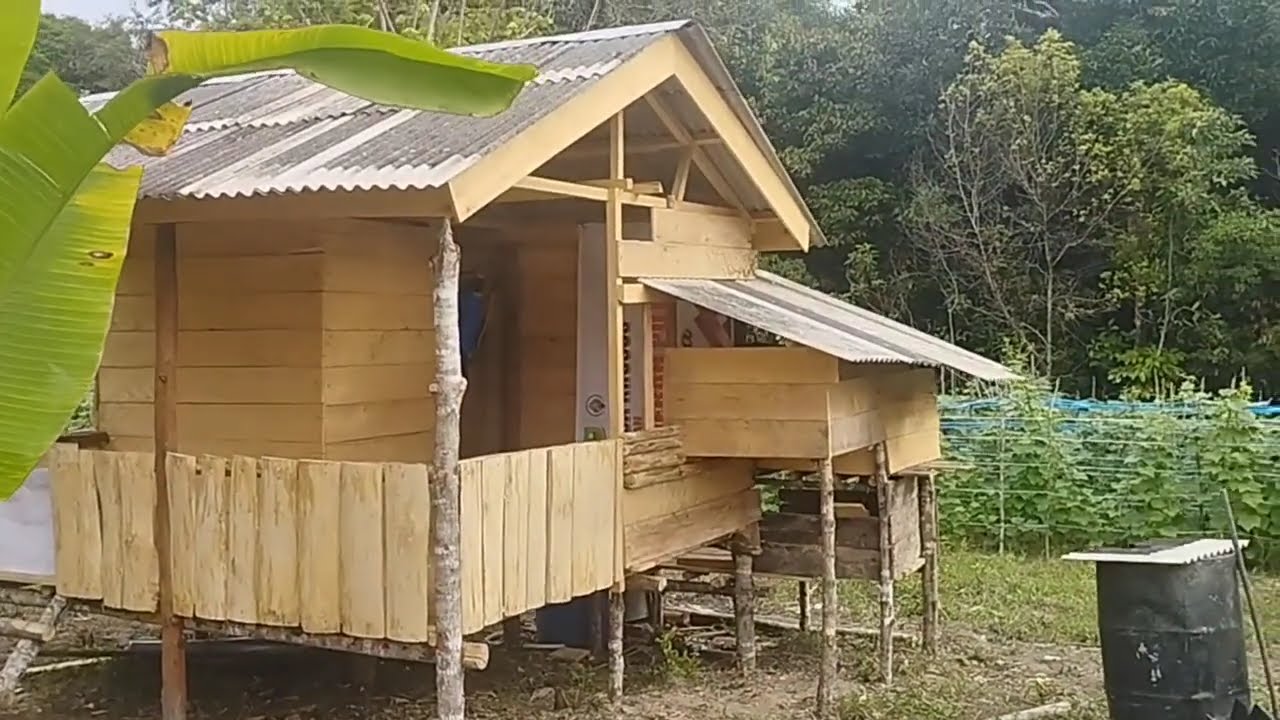 Membuat pondok di kebun #pertanian #gardening #pondok
