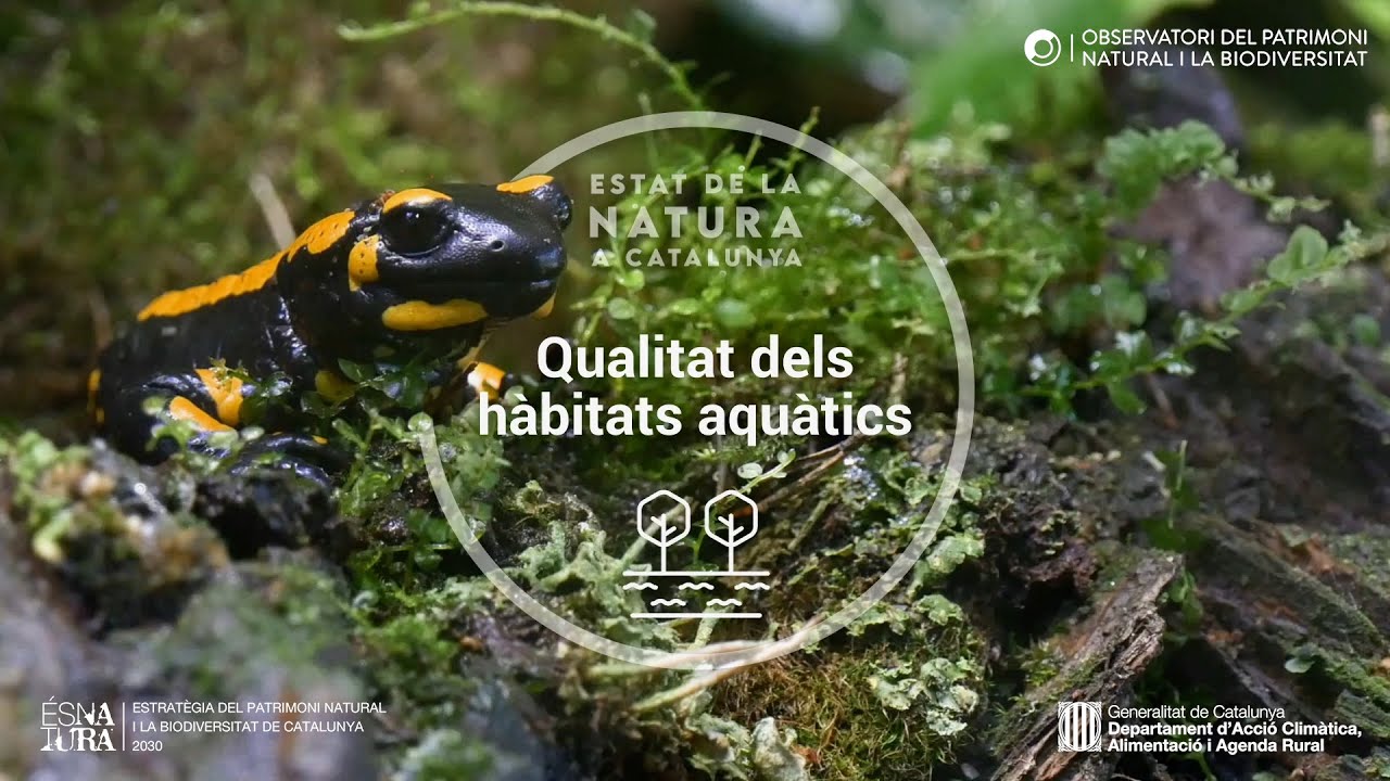 Estat Natura 2020: Qualitat dels hàbitats aquàtics