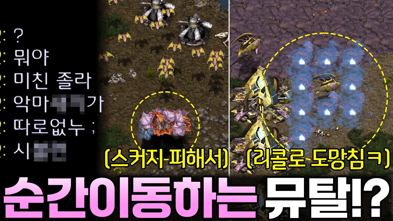 뮤탈로 약 올리면서 잡을만하면 도망치는 순간이동 뮤탈에 머리끝까지 화난 상대ㅋㅋ