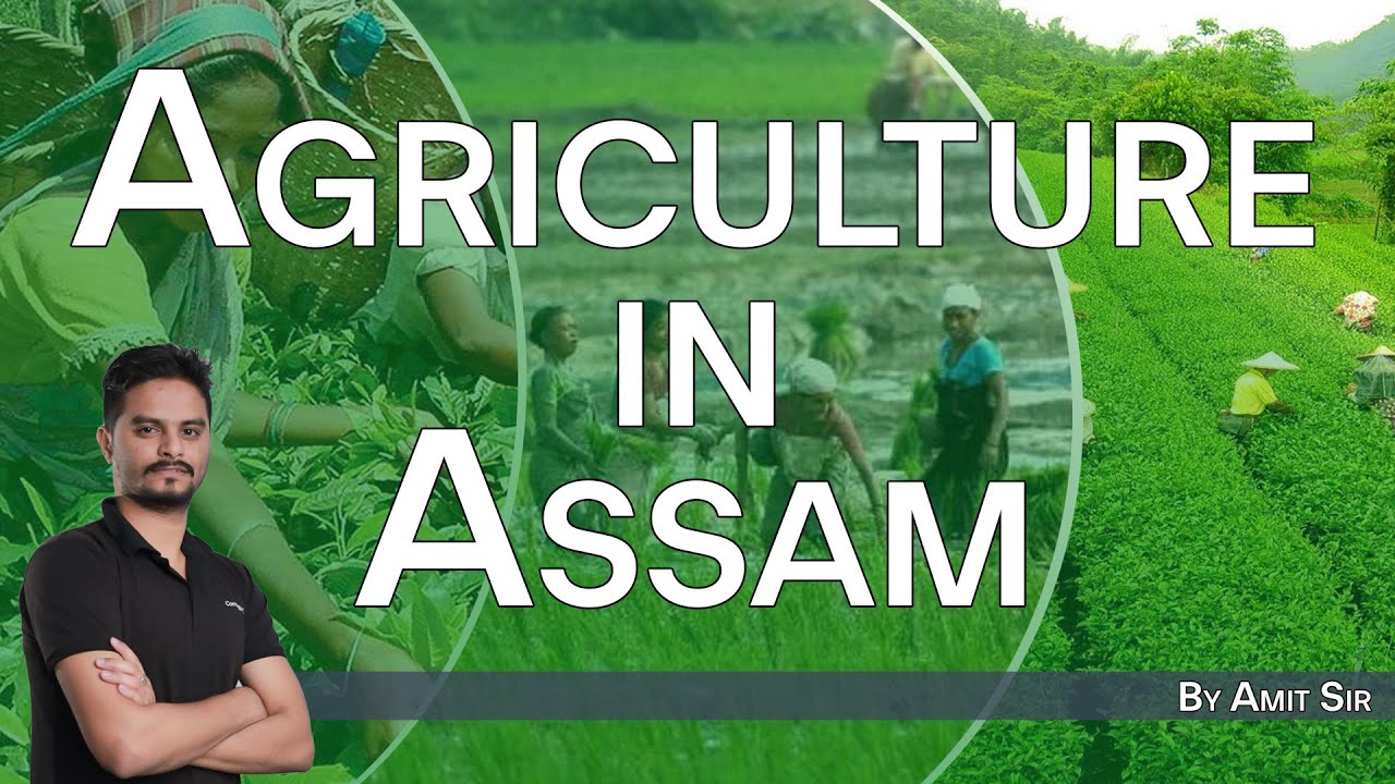 Agriculture in Assam by Amit Sir | Competition Care- Best UPSC/APSC Coaching in Assam
