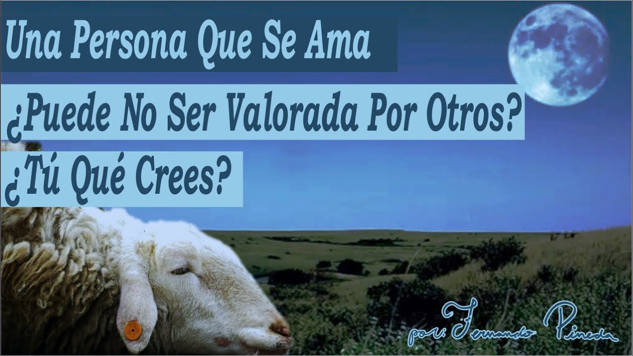 La Oveja Que Necesitaba Quererse Más - Reflexiones Para El Autoestima