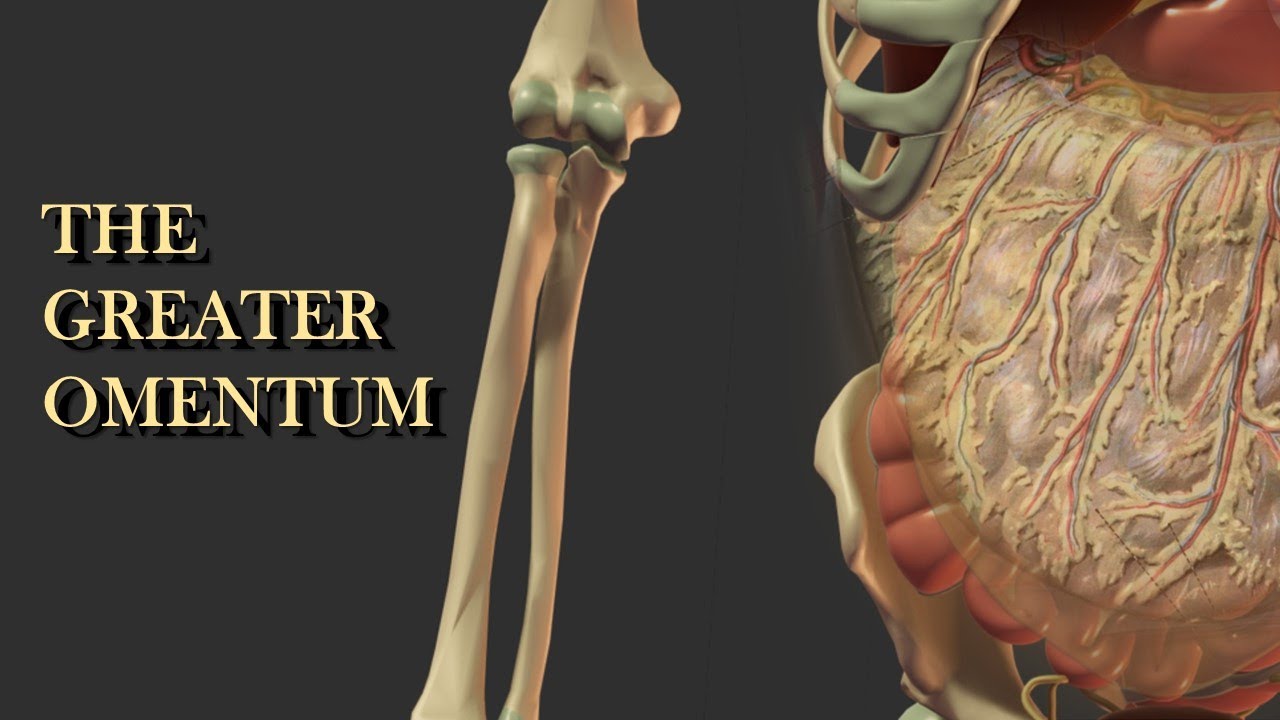 The Greater Omentum: Now Less Boring!