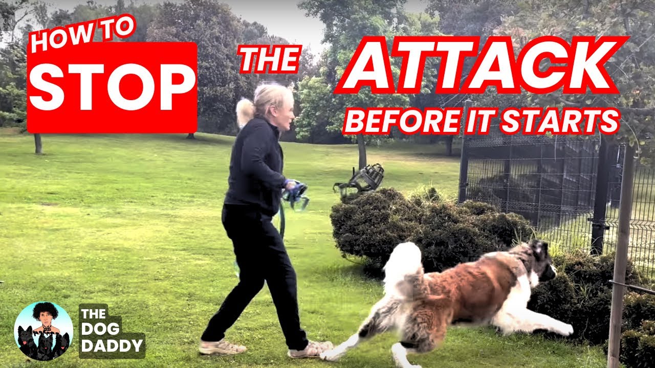 His Movie Career ENDED Due To This Behavior.. Will Dog Daddy Change That??