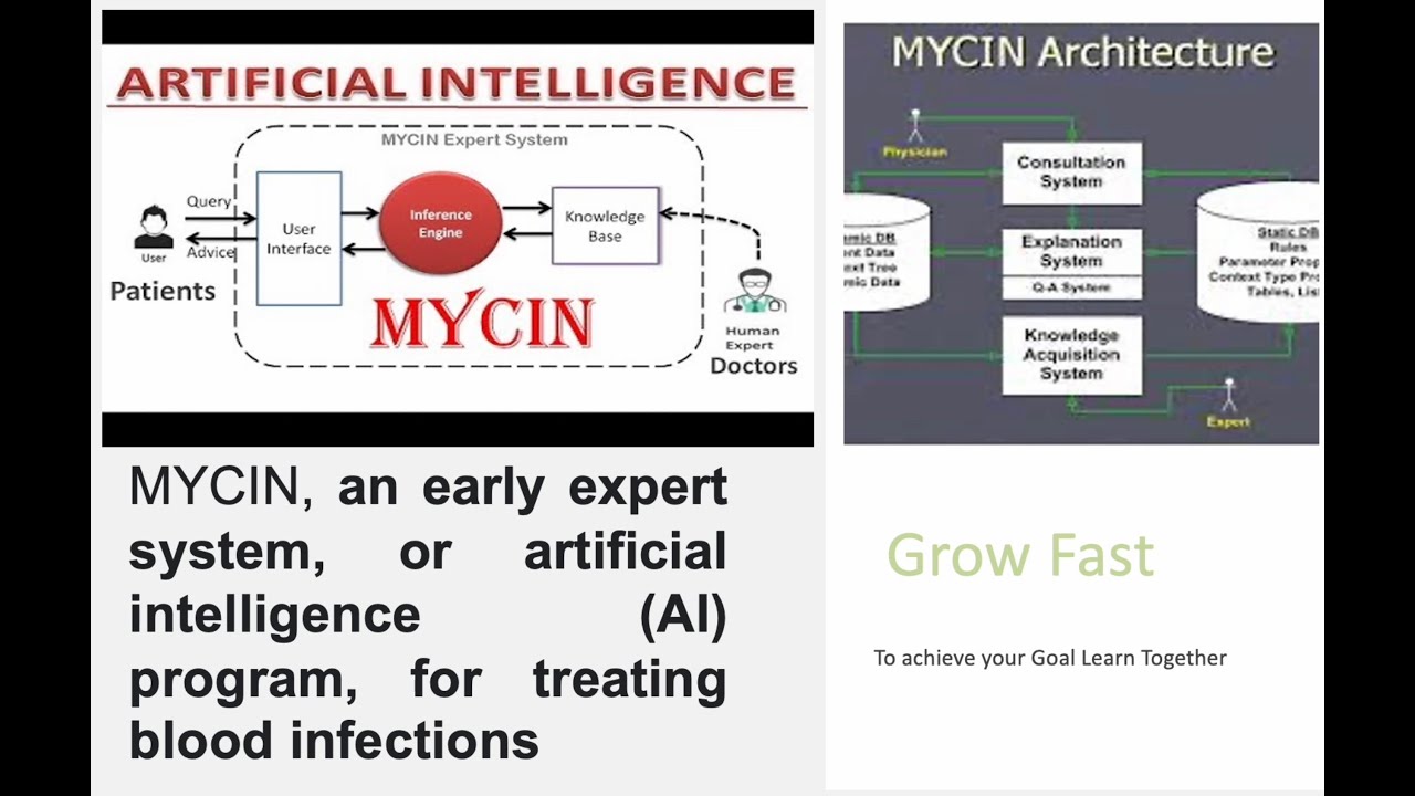 Mycin Expert System