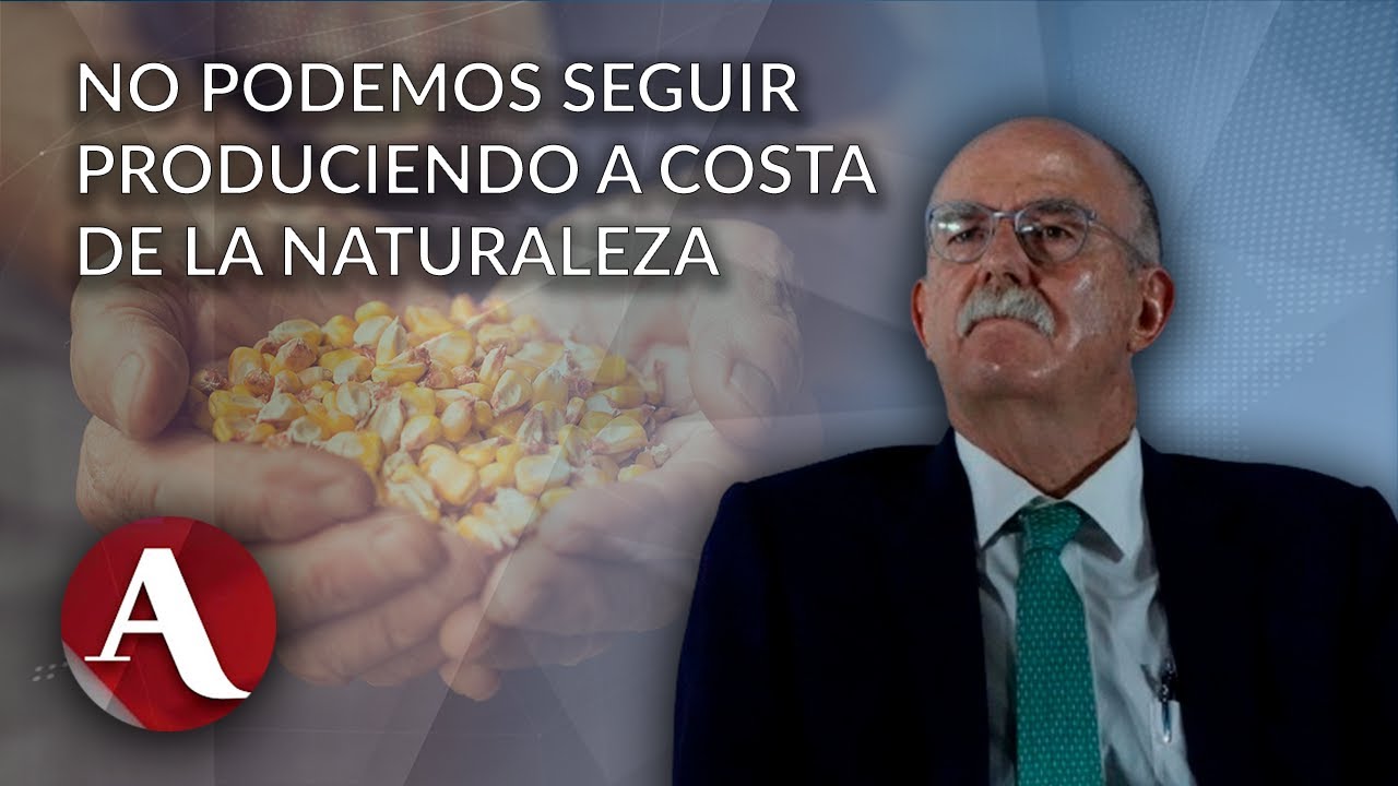 Prohibir maíz transgénico y las otras propuestas de Julio Berdegué, futuro secretario de Agricultura