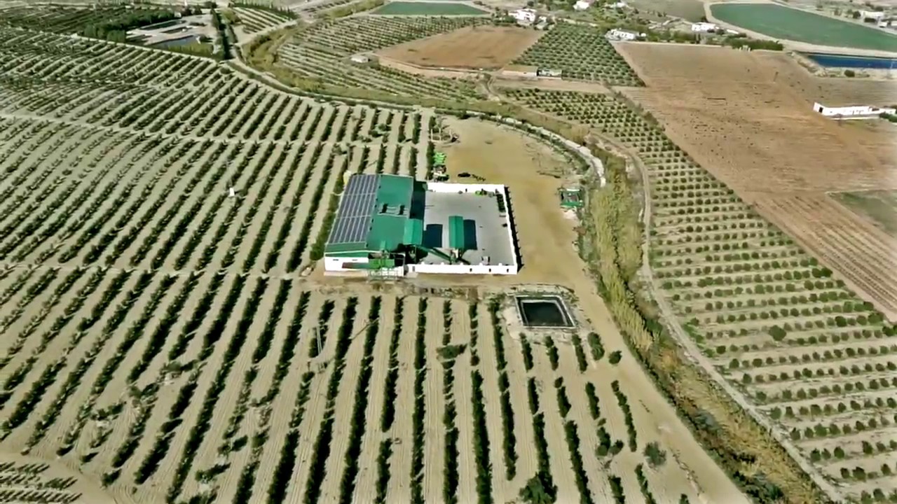 Almazara Virgen de Lourdes en Los Gallardos 2018 - PHOTODRONE