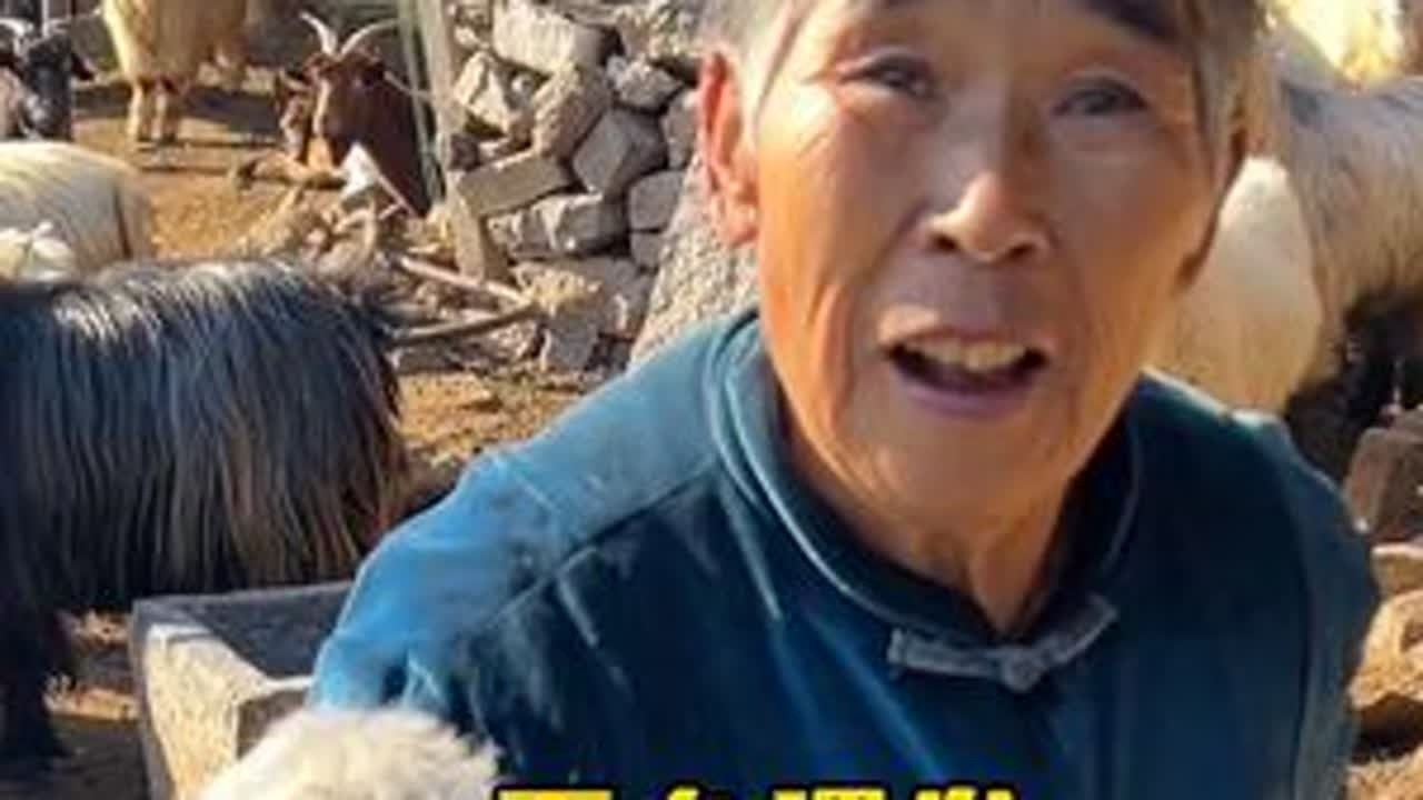 赚大了赚大了给大姨剪了个头发，结果抱来一只小羊羔要送给我#下乡理发 #纪录真实生活 #做有意义的事 #传递善良传递爱