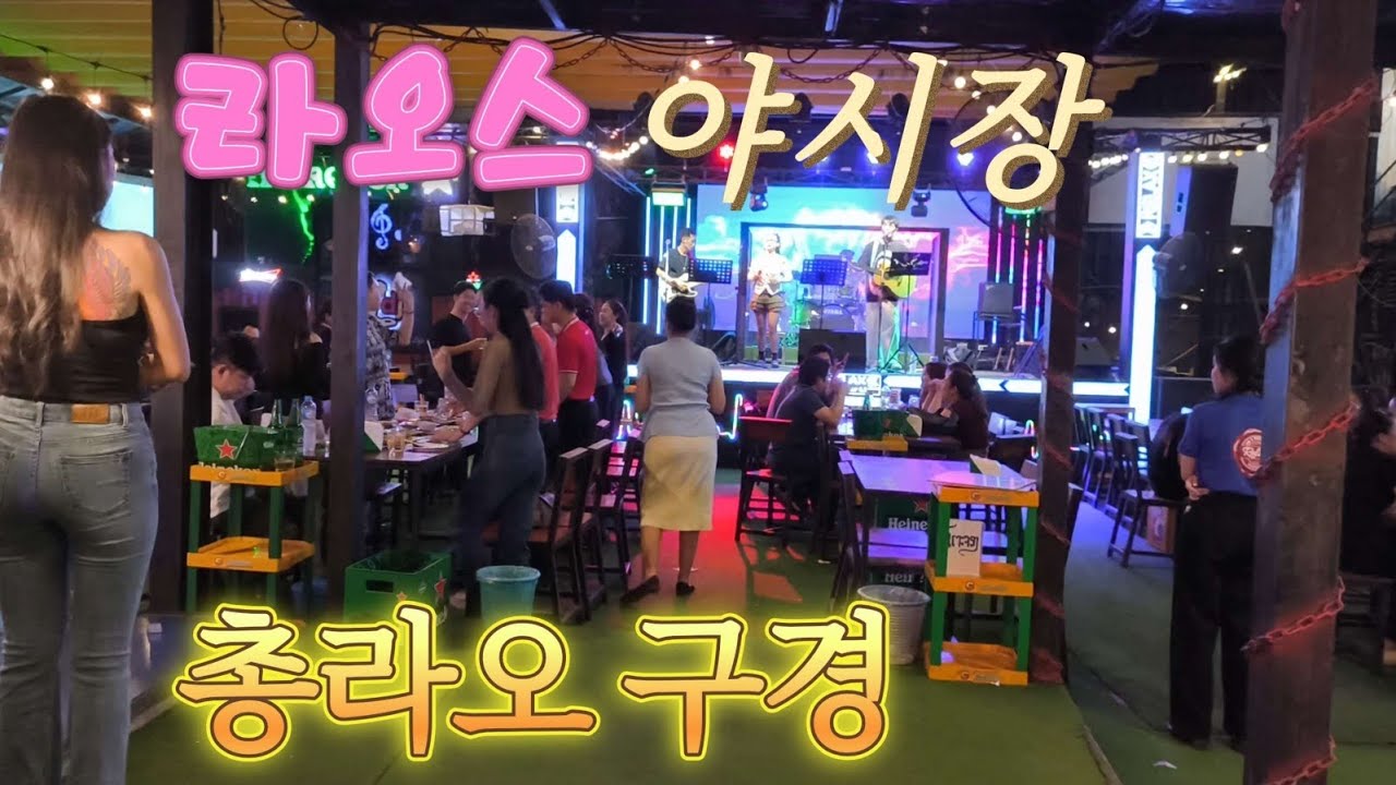 라오스 버스로 국경넘기 야시장 그리고 총라오 구경 #라오스#태국#비엔티안#야시장#총라오#국경#브이로그#한달살기#방비엥#루앙프라방#여행#세계여행