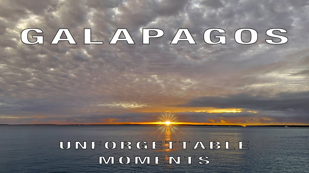 GALAPAGOS, UNFORGETTABLE MOMENTS