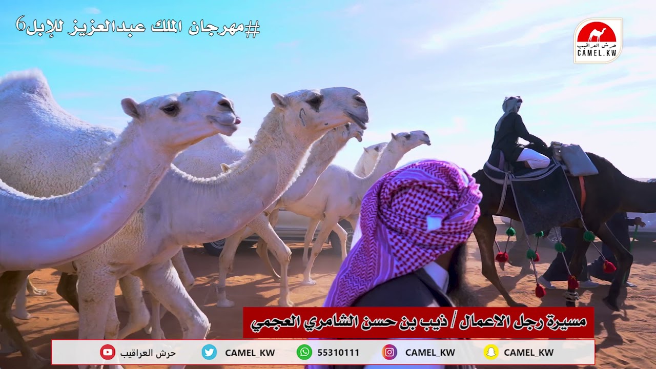 مسيرة رجل الاعمال : ذيب  بن حسن الشامري العجمي