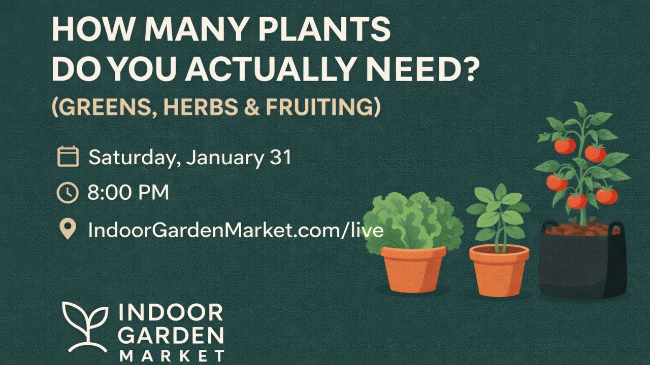 Week 5: How Many Plants Do You Actually Need in your Indoor Food Garden