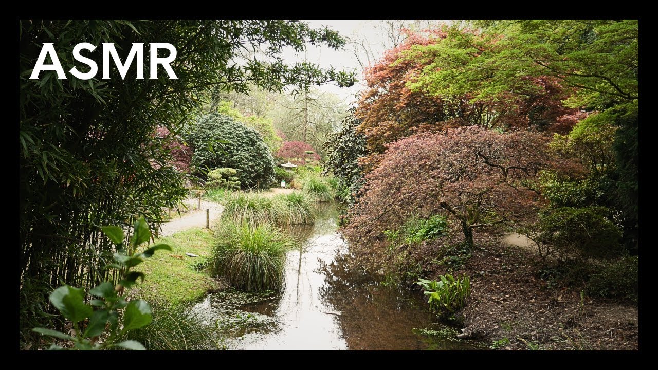 Visite immersive du Parc Botanique de Haute Bretagne. Le plus beau de ma vie