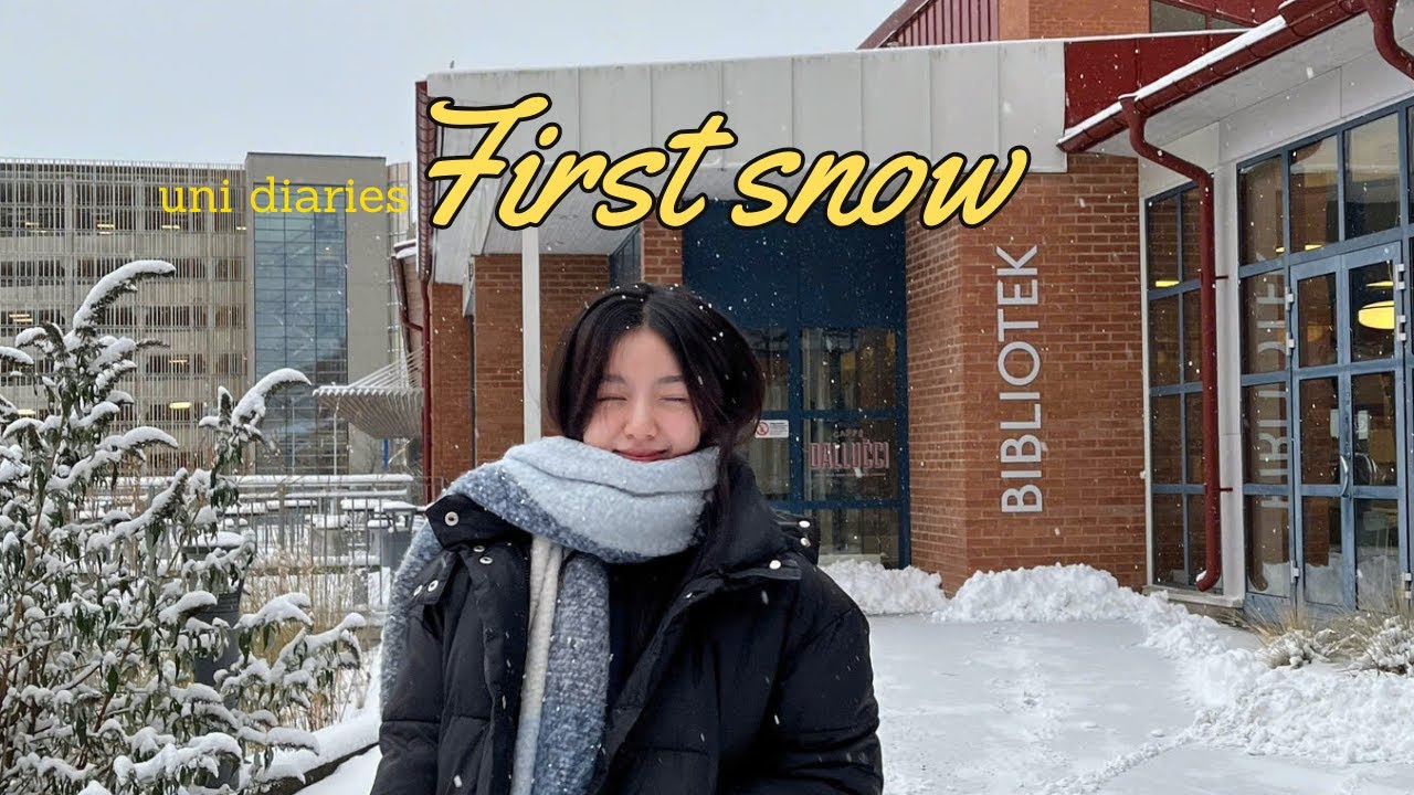 tuyết đầu mùa ❄ đi siêu thị ⛄ chi phí sinh hoạt của du học sinh Thuỵ Điển 🦄