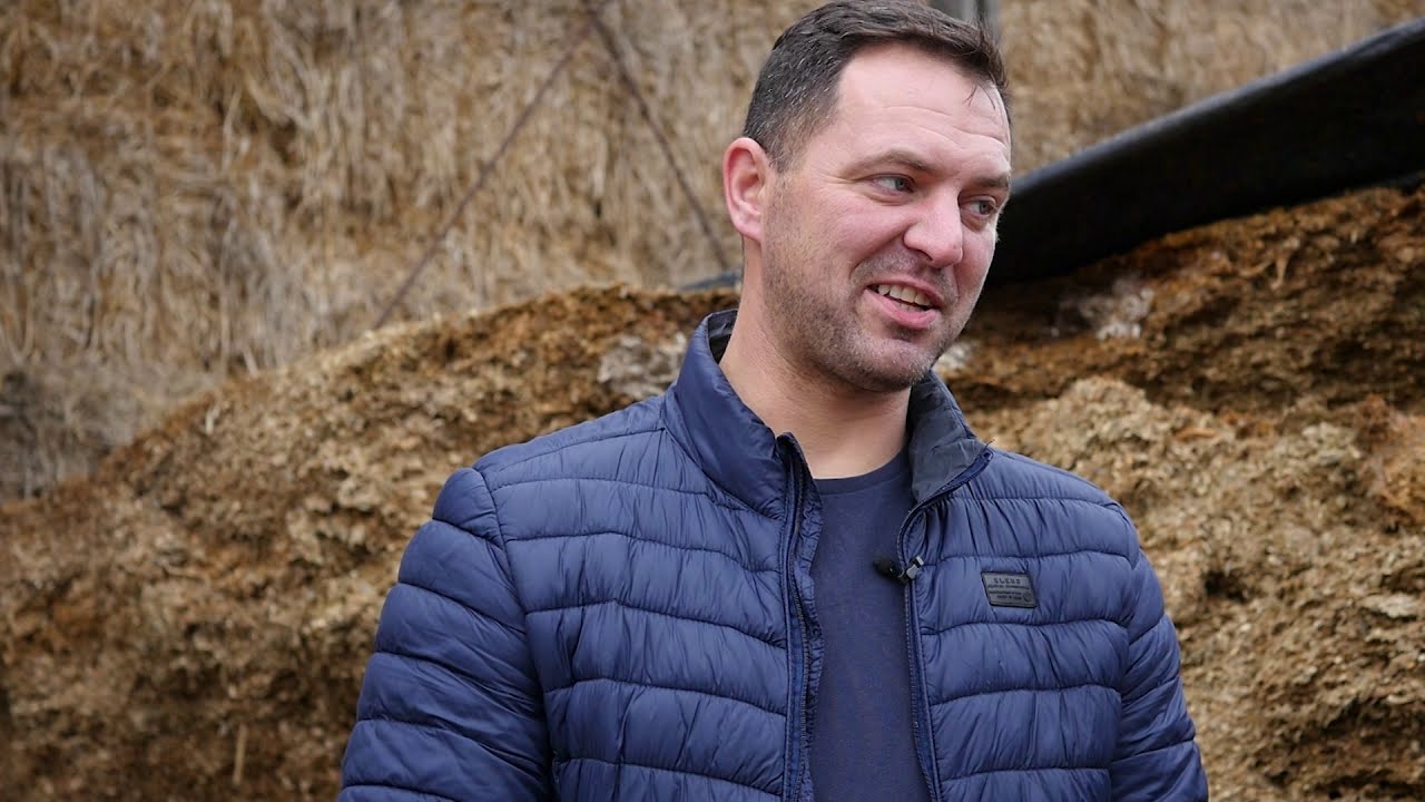 Wczesny zbiór kukurydzy na ziarno przed siewem zbóż