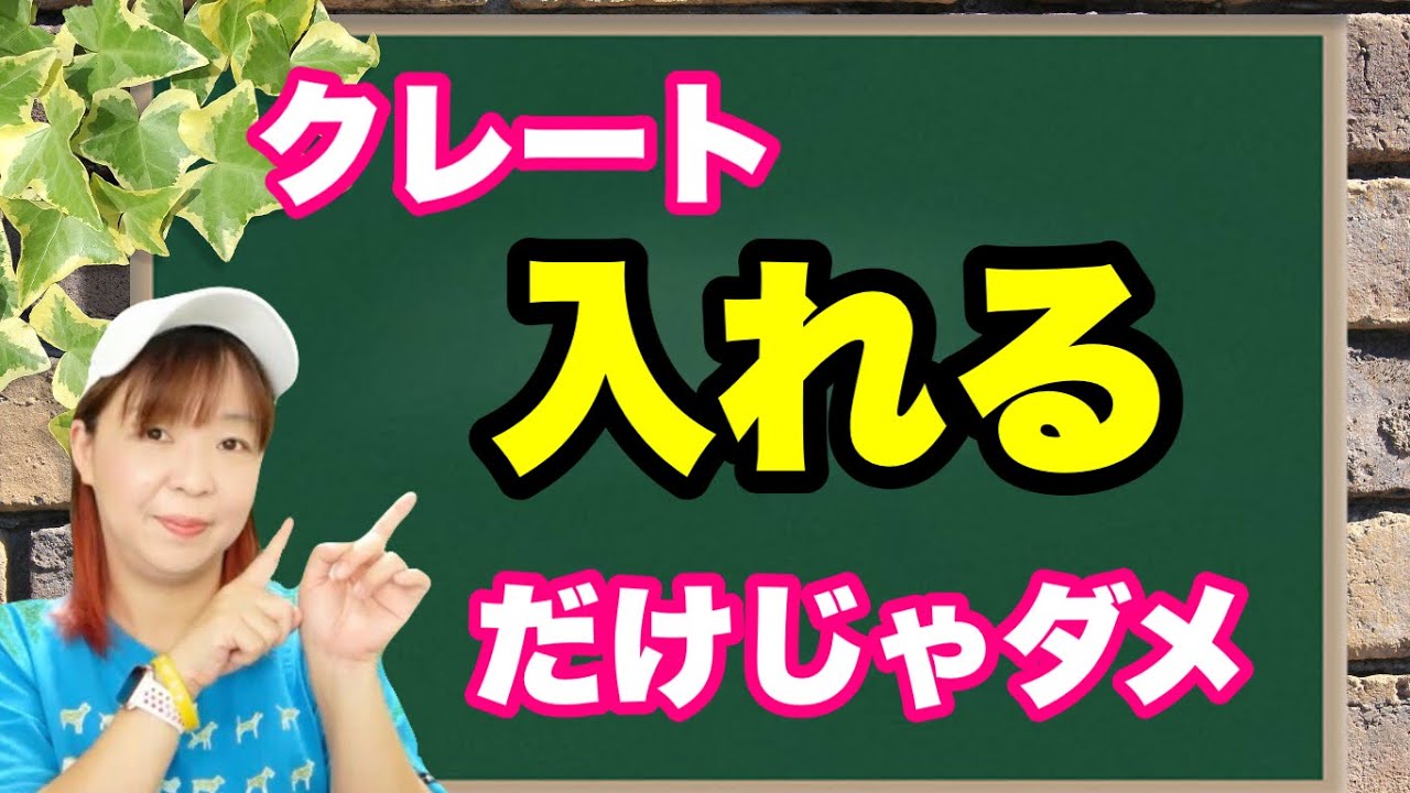 クレートトレーニングの本質　入れるだけじゃダメ！大事なことは・・
