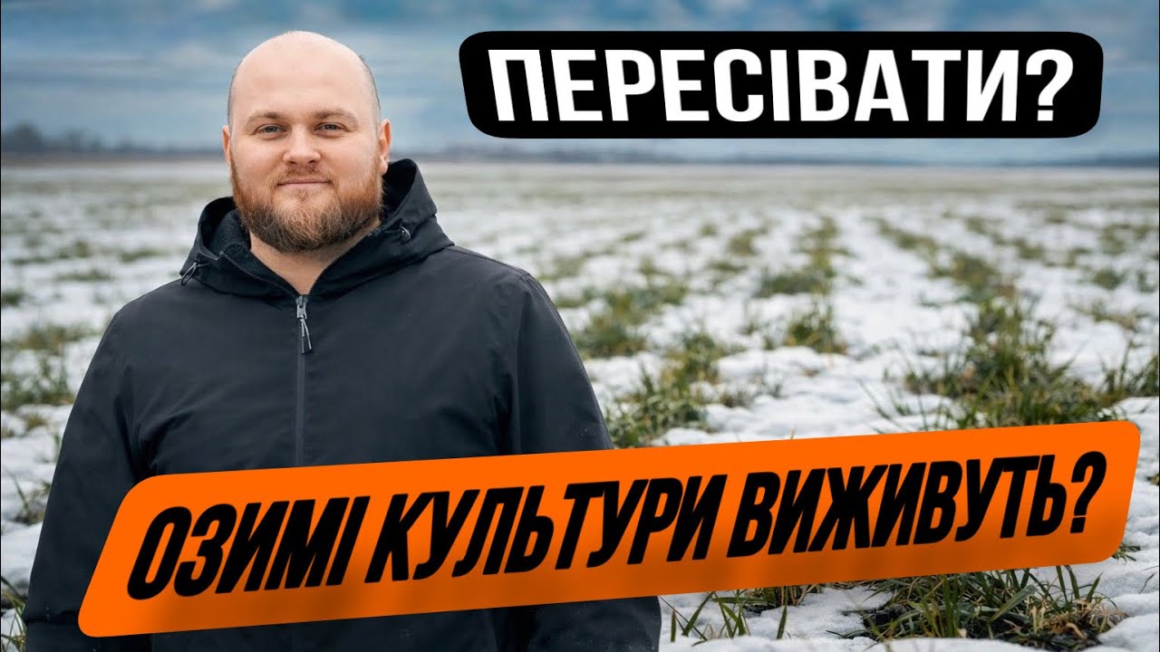 Як фермери втрачають гроші? 😱Орест Гранат про головні помилки 🤔