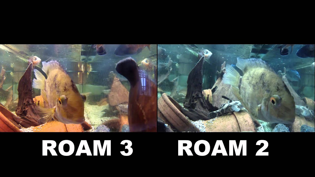 Contour ROAM 2 vs Contour ROAM 3 / Test No. 1