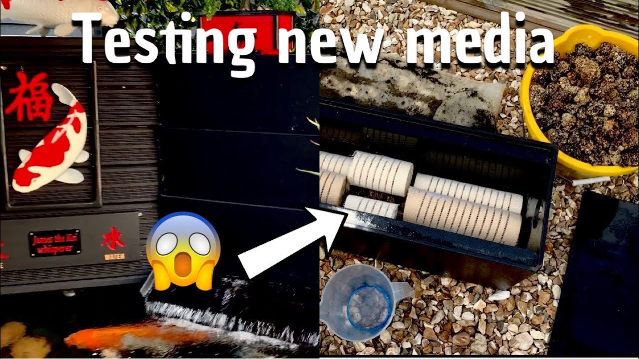 DIY KOI POND***ADDING NEW MEDIA TO THE BAKKI SHOWER***NEW KOI UPDATE!!!!