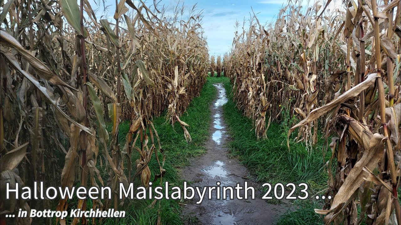 Halloween Maislabyrinth 2023 - in Bottrop Kirchhellen (Handy-Video)