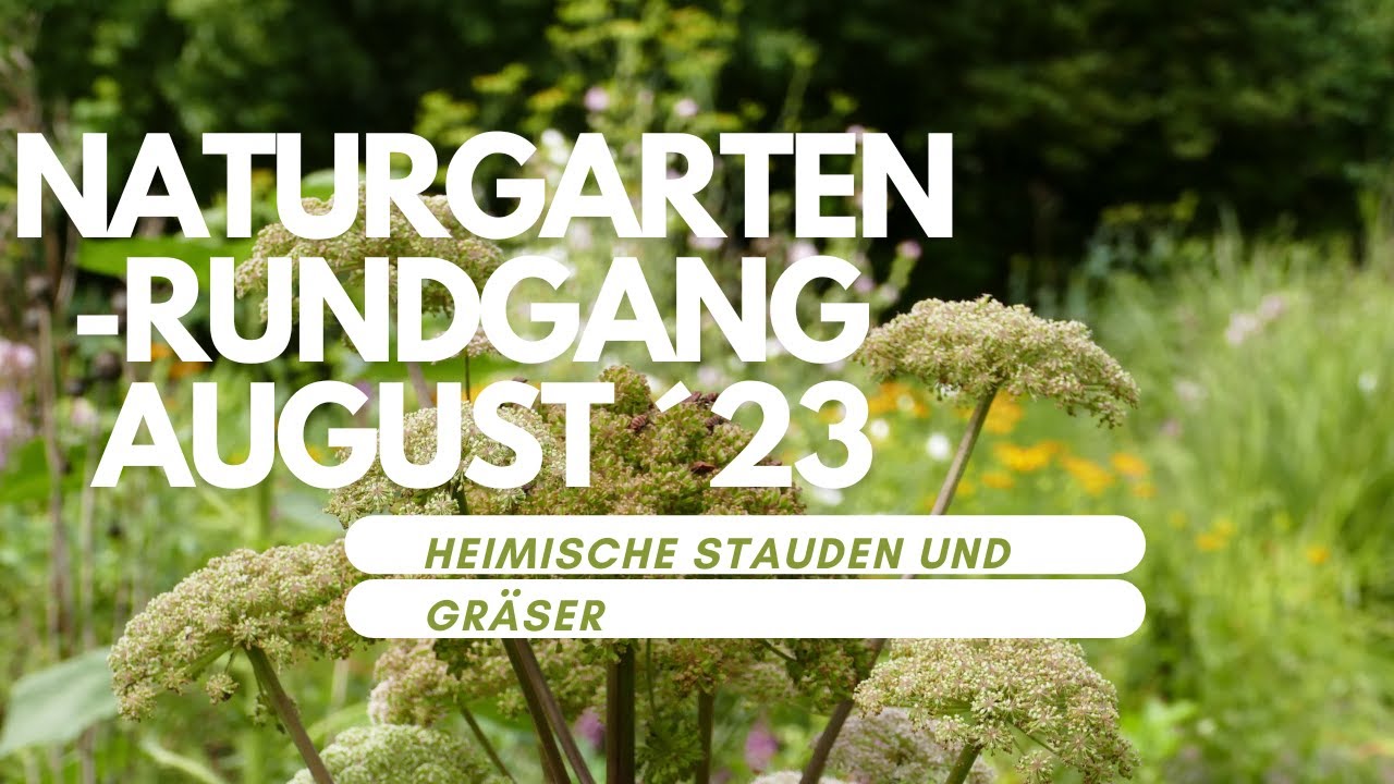 Naturgarten Rundgang August 23