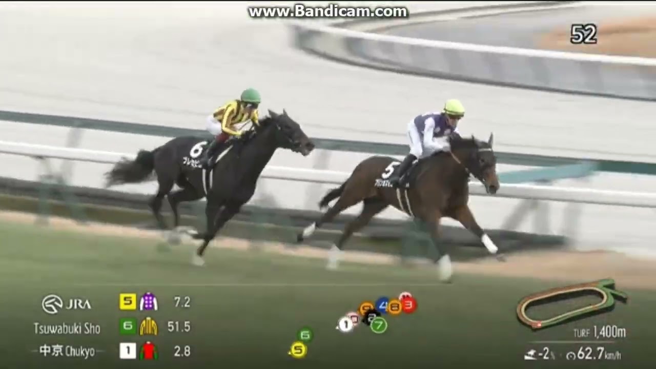 2025 つわぶき賞 (2歳1勝クラス)　プレセピオ