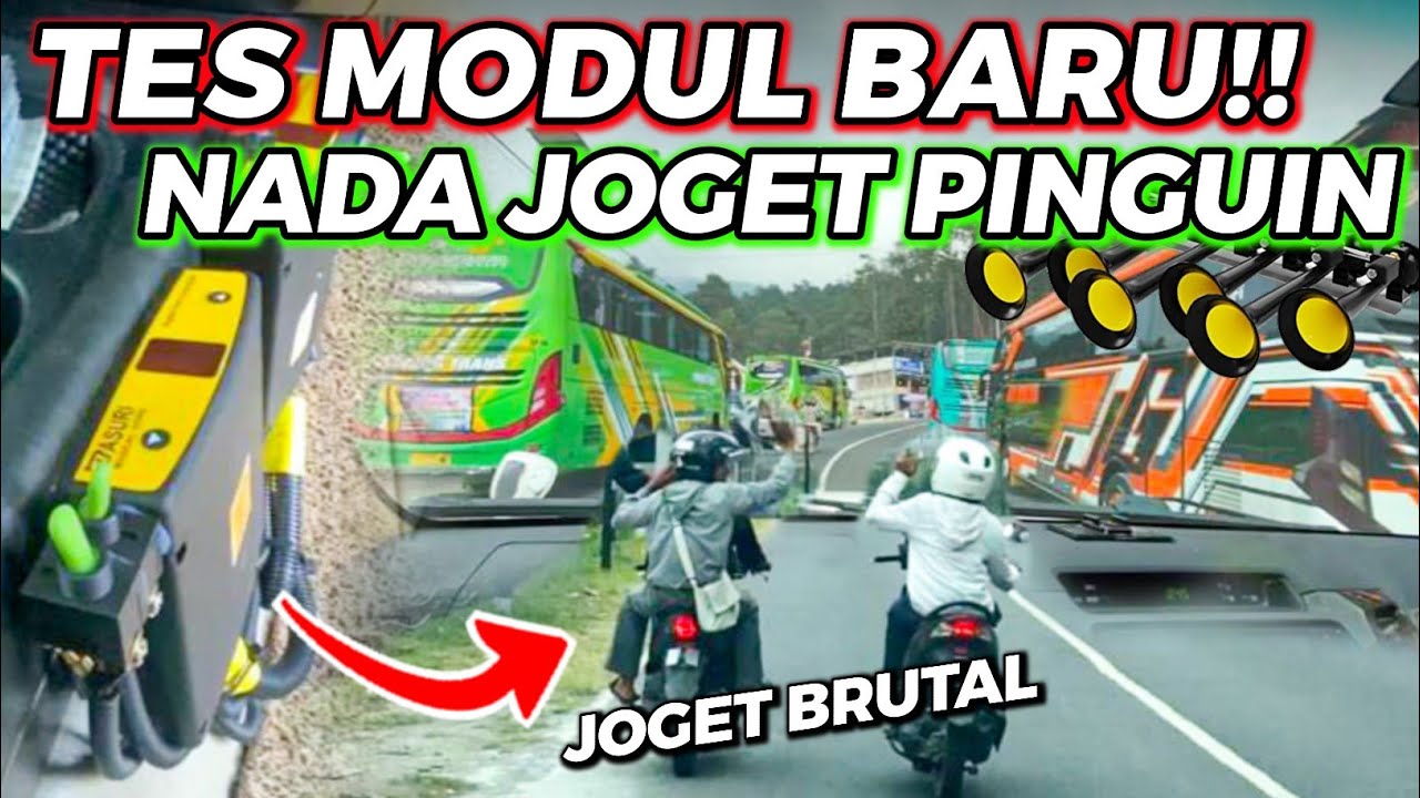 SEMUA JOGET PINGUIN‼️🤣 - TEST SUARA MODUL BASURI BARU