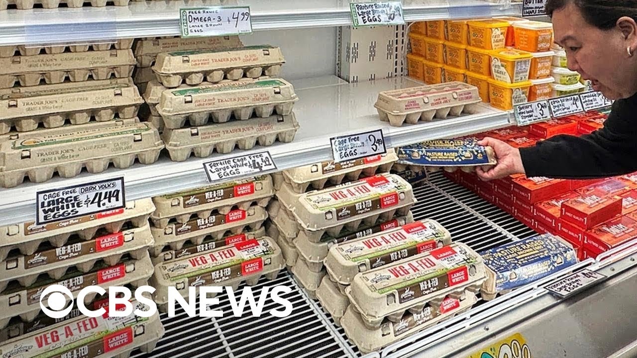 Bird flu, supply shortages keeping egg prices high