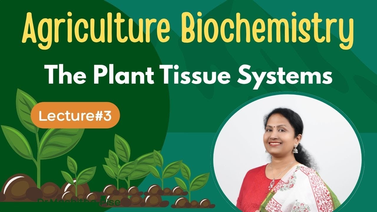 Plant Tissue Systems Explained | Epidermal, Ground & Vascular Tissues | Agri Biochem # BSc Students