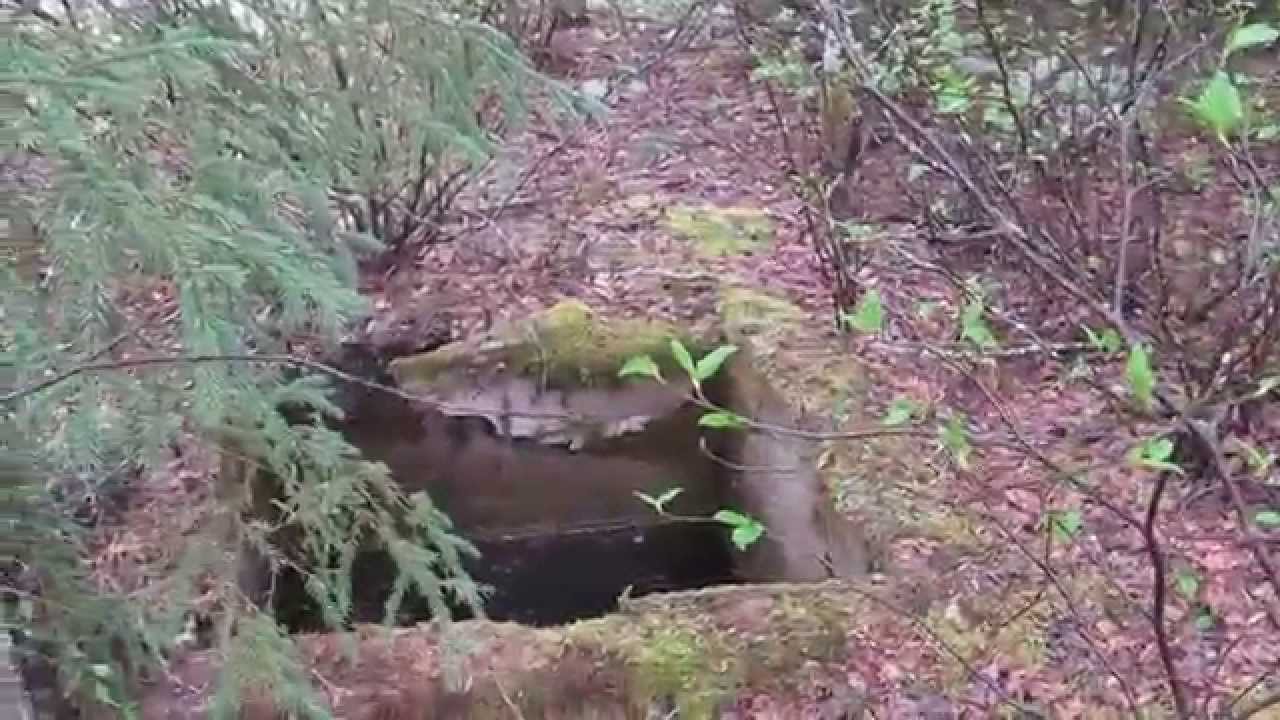 Gros puits en for&ecirc;t base abandonn&eacute;e de Casey QC
