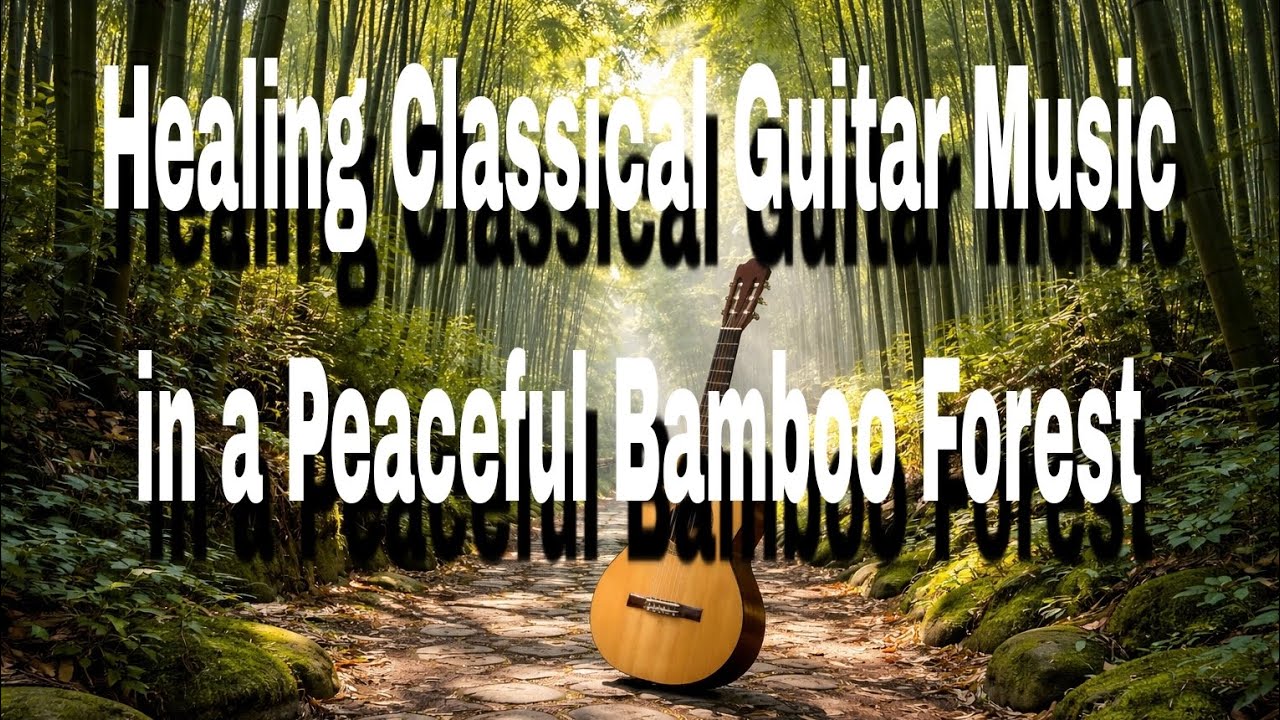 Healing Classical Guitar Music in a Peaceful Bamboo Forest