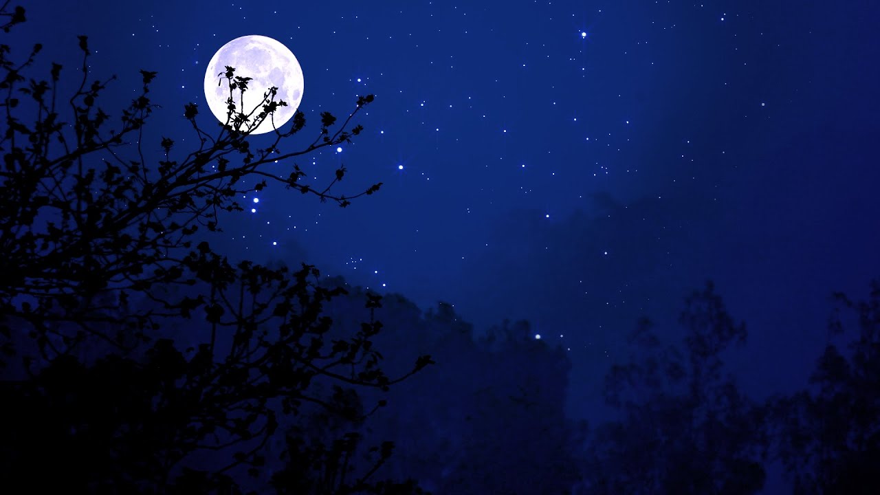 Cricket Conversations | 10 Hours of Calming Night Ambience for Relaxation and Sleep