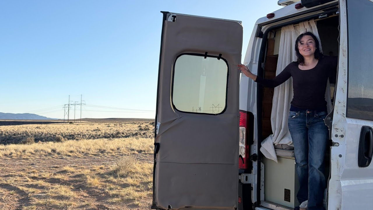 I Secretly Bought a Van..Unfiltered First 48 Hours of Solo Van Life with my Cat