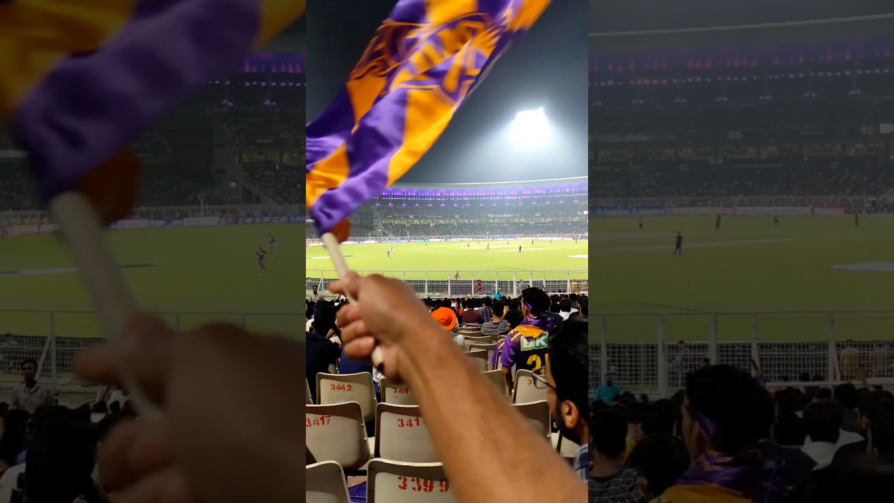 Eden Garden Match view from H Block 😍 #kkr #kolkataknightriders #ipl2024 #shorts #edengardens